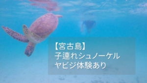 宮古島子連れシュノーケル海ガイド